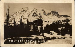 Mount Rainier from Paradise Inn Postcard