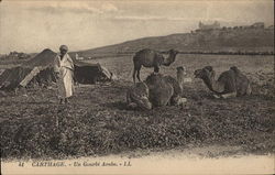 Un Gourbi Arabe Carthage, Tunisia Africa Postcard Postcard