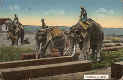 Elephants at work in Rangoon Myanmar Southeast Asia Postcard Postcard