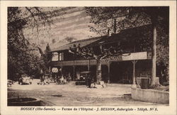 Farm Hospital in Bossey in Haute-Savoie, France Postcard