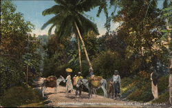 Scene on Bog Walk Kent Village, Jamaica Postcard Postcard