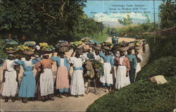 Greetings from Jamaica and Constant Spring Road Postcard Postcard