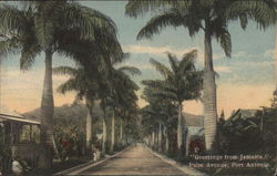 Palm Avenue Port Antonio, Jamaica Postcard Postcard