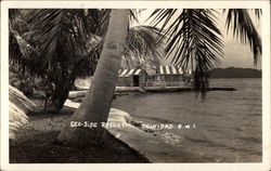 Sea-Side Resort, Trinidad, British West Indies Postcard