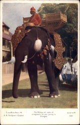 H.M. The Queen's Elephant Thailand Southeast Asia Postcard Postcard