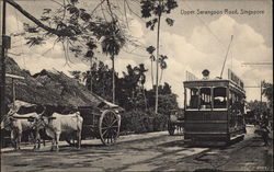 Upper Serangoon Road Postcard