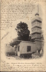 Mosquee de Sidi-Abd-er-Ahaman-et-Tcalbi Postcard