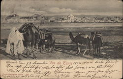 Vue de Tunis Postcard