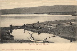 View of the Dead Sea Postcard