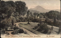 Errigal Mountain from Gweedore Hotel Postcard