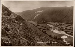 The Stag - Rheidol Valley Wales Postcard Postcard