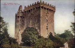 Blarney Castle in the County of Cork, Ireland Postcard Postcard