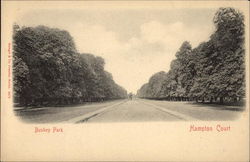 Bushey Park, Hampton Court London, England Postcard Postcard