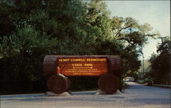 Henry Cowell Redwoods State Park Entrance Postcard