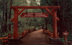 Entrance, Muir Woods National Monument Postcard