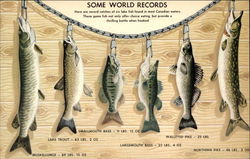 Some World Records Fishing Postcard Postcard