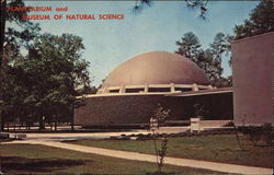 Planetarium and Museum of Natural Science Houston, TX Postcard Postcard