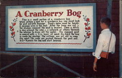 A Cranberry Bog Postcard