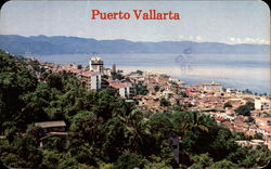 View of the Center of Vallarta Postcard