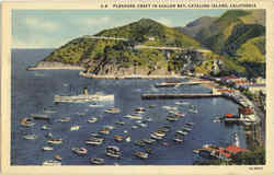 Pleasure Craft in Avalon Bay Postcard