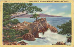 Midway Point, 17 Mile Drive Postcard