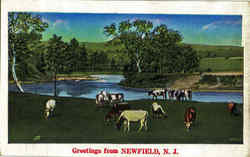 Greetings From Newfield Postcard