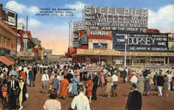 Steel Pier Postcard