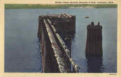 Harbor Scene Showing Seagulls At Rest Postcard