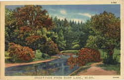 Greetings From Carp Lake Michigan Postcard Postcard