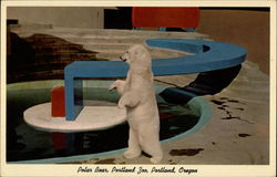 Polar Bear, Portland Zoo Postcard