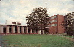 Luther I. Bonney Hall Portland, ME Postcard Postcard