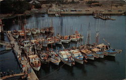 Boats in the Marina Depoe Bay, OR Postcard Postcard