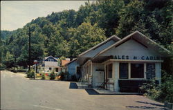 Bales' Cabins Gatlinburg, TN Postcard Postcard