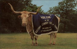 Abilene of the National Cowboy Hall of Fame Postcard