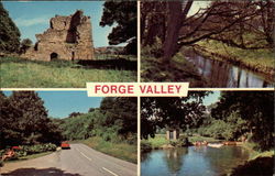 Various Views of the Forge Valley England Postcard Postcard