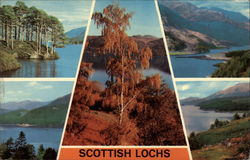 Various Scottish Lochs Scotland Postcard Postcard