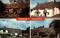 Dorset Thatch Roofs Postcard