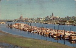 City Skyline from Stanley Park Vancouver, BC Canada British Columbia Postcard Postcard