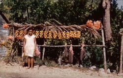 Little Fruit Vendor Jamaica Postcard Postcard