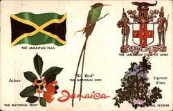 Symbols of Jamaica Postcard