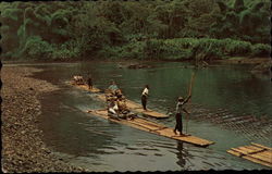 Rafting on the Rio Grande Postcard