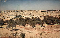 Looking Toward Jerusalem from the Mount of Olives Postcard