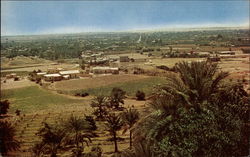 Panorama of the Ancient city of Jericho Postcard