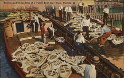 Arrival and Unloading of a Turtle Boat Key West, FL Postcard Postcard