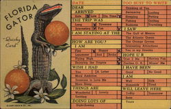 Florida Gator Postcard