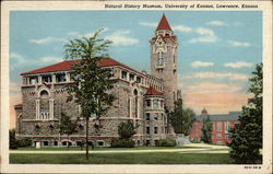 Natural History Museum, University of Kansas Postcard