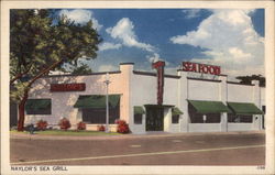 Naylor's Sea Grill Postcard