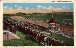 Horse Races, Oriental Park Havana, Cuba Postcard Postcard