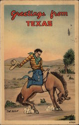 Greetings from Texas Postcard