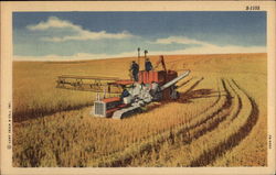 Harvesting Grain Postcard